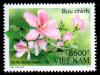 Colnect-4808-565-Flowers-of-Vietnam--Orchid-Tree-Bauhinia-variefata.jpg