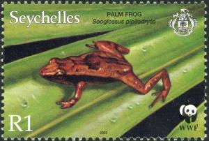 Colnect-6187-049-Seychelles-Palm-Frog-Sooglossus-pipilodryas.jpg