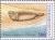 Stamps_of_Turkmenistan%2C_1993_-_Caspian_seal_%28Phoca_caspica%29_on_sand%2C_500.jpg