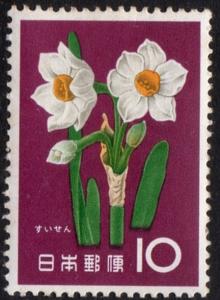 Japan_1961_Narcissus.jpg