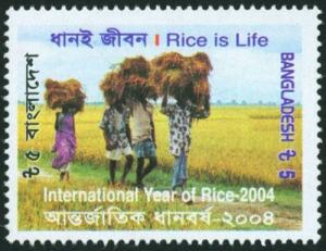 Colnect-1676-605-International-Year-of-Rice.jpg
