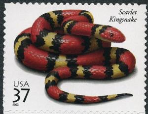 Colnect-202-169-Scarlet-Kingsnake-Lampropeltis-elapsoides.jpg