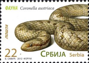Colnect-4978-346-Smooth-Snake-Coronella-austriaca.jpg