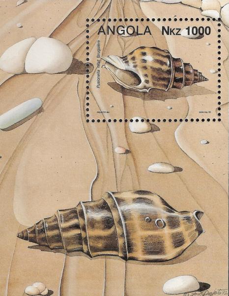 Colnect-1110-019-Sea-Snail-Pusionella-nifat.jpg