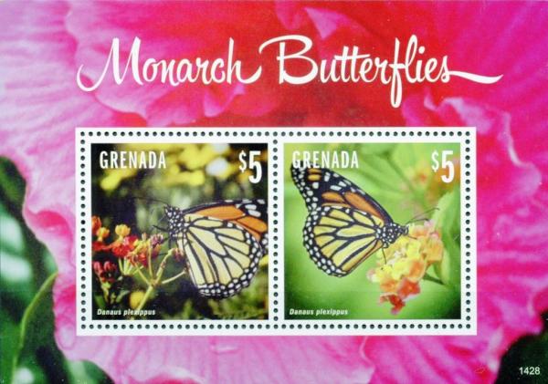 Colnect-4516-968-Monarch-Butterflies.jpg