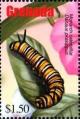 Colnect-4592-807-Monarch-caterpillar.jpg