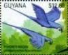 Colnect-3503-669-Hyacinth-Macaw-nbsp-Anodorhynchus-hyacinthinus.jpg