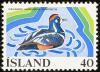 Colnect-3708-174-Harlequin-Duck-nbsp-Histrionicus-histrionicus.jpg