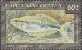 Colnect-3128-102-New-Guinea-Rainbowfish-Melanotaenia-affinis.jpg