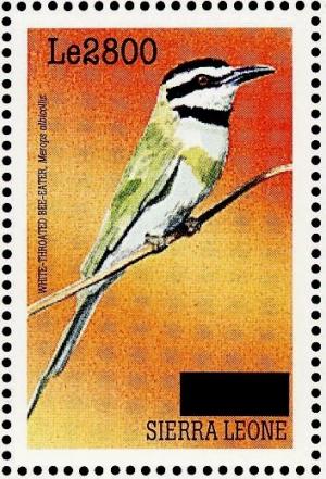 Colnect-3561-479-White-throated-Bee-eater-nbsp--nbsp--nbsp--nbsp-Merops-albicollis.jpg
