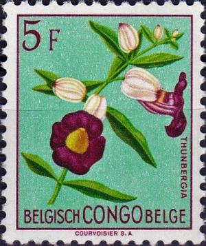 Colnect-4307-157-Thunbergia-lancifolia.jpg