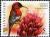 Colnect-614-041-Crimson-Sunbird-Aethopyga-siparaja.jpg