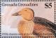 Colnect-2193-339-King-Eider-nbsp-Somateria-spectabilis.jpg