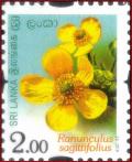 Colnect-3588-516-Ranunculus-sagittifolius.jpg