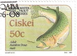 Colnect-2797-737-Rainbow-Trout-Oncorhynchus-mykiss-Adult-Trout.jpg
