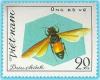 Colnect-1160-348-Lesser-Banded-Hornet-Vespa-affinis.jpg