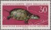 Colnect-1974-296-European-Pond-Turtle-Emys-orbicularis.jpg
