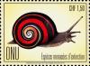 Colnect-5350-440-Cuban-land-snail-Polymita-picta.jpg