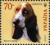 Colnect-562-019-Basset-HoundCanis-lupus-familiaris.jpg