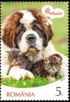 Colnect-6238-848-Cat-and-Dog-and-Friendship.jpg
