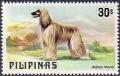 Colnect-1570-434-Afghan-Hound-Canis-lupus-familiaris.jpg