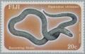 Colnect-2651-341-Fijian-Ground-Snake-Ogmodon-vitianus-.jpg