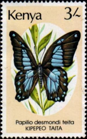 Colnect-1346-536-Desmond-s-Green-Banded-Swallowtail-Papilio-desmondi.jpg