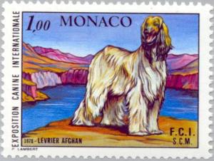 Colnect-148-637-Afghan-Hound-Canis-lupus-familiaris.jpg