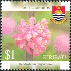 Colnect-2598-423-Dendrobium-purpureum.jpg