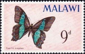 Colnect-3379-784-Desmond-s-Green-Banded-Swallowtail-Papilio-desmondi.jpg