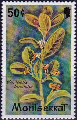 Colnect-3932-680-Rondeletia-buxifolia.jpg