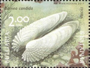 Colnect-4170-917-Black-Sea-Fauna-and-Flora-joint-issue-with-Ukraine.jpg