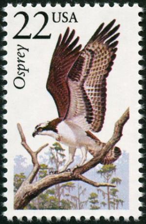 Colnect-4848-556-American-Osprey-Pandion-haliae-euml-tus-carolinensis.jpg