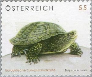 Colnect-711-368-European-Pond-Turtle-Emys-orbicularis.jpg