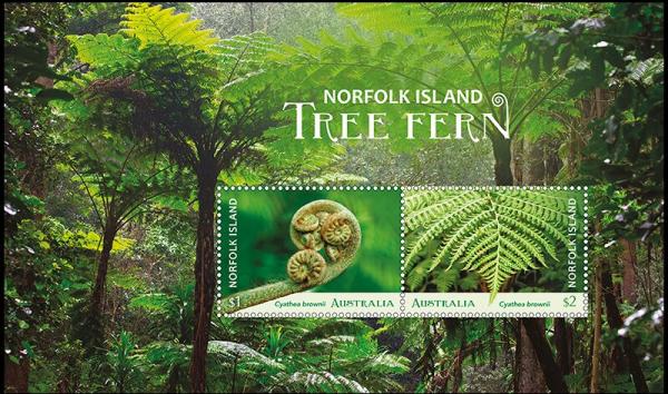 Colnect-5714-882-Norfolk-Island-Tree-Fern-Cyathea-brownii.jpg