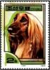 Colnect-2259-961-Afghan-Hound-Canis-lupus-familiaris.jpg