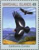 Colnect-5997-830-California-Condor-Gymnogyps-californianus.jpg