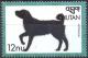 Colnect-3392-493-Wetterhound-Canis-lupus-familiaris.jpg
