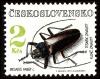 Colnect-3786-764-Long-horned-Beetle-Ergates-faber.jpg
