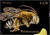 Colnect-5858-462-Long-horned-Bee-Genus-Melissodes.jpg