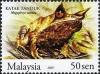 Colnect-614-122-Malayan-Horned-Frog-Megophrys-nasuta-.jpg