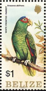 Colnect-1594-402-White-crowned-Parrot-Pionus-senilis.jpg