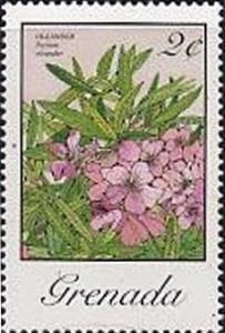 Colnect-2411-126-Nerium-Oleander.jpg