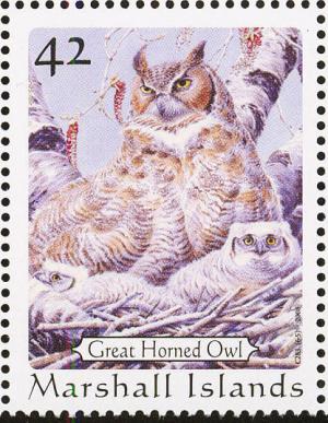 Colnect-1003-160-Great-Horned-Owl-Bubo-virginianus.jpg