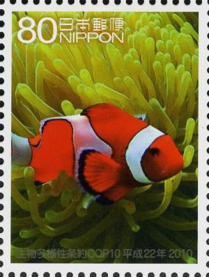 Colnect-4133-534-Clown-Anemonefish-Amphiprion-ocellaris.jpg