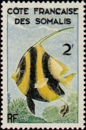 Colnect-805-855-Schooling-Bannerfish-Heniochus-diphreutes.jpg