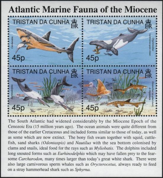 Colnect-4387-006-Atlantic-Marine-Fauna-of-the-Miocene-Epoch.jpg