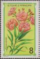 Colnect-1589-465-Nerium-Oleander.jpg