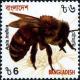 Colnect-3999-073-Eastern-Honeybee-Apis-cerana-indica.jpg