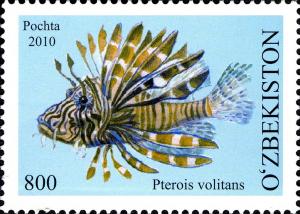 Colnect-854-477-Red-Lionfish-Pterois-volitans.jpg